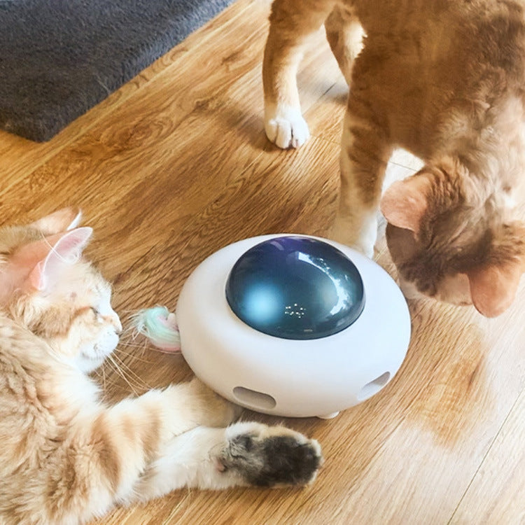 Electric Cat Teaser Turntable Pet Cat Toy