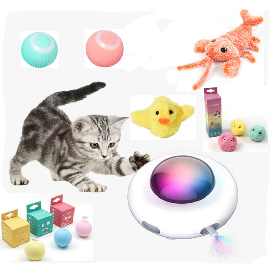 Electric Cat Teaser Turntable Pet Cat Toy