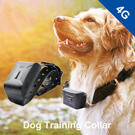 4G North American Edition Collar Medium And Large Animal Tracker Dog Cattle Sheep Beidou GPS Pet Locator