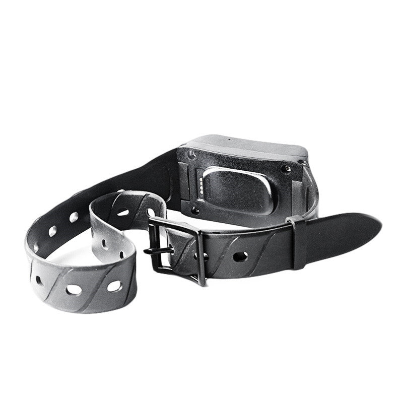 4G North American Edition Collar Medium And Large Animal Tracker Dog Cattle Sheep Beidou GPS Pet Locator